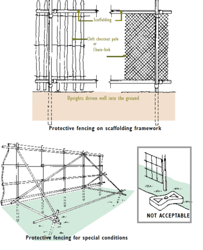 protecting trees example